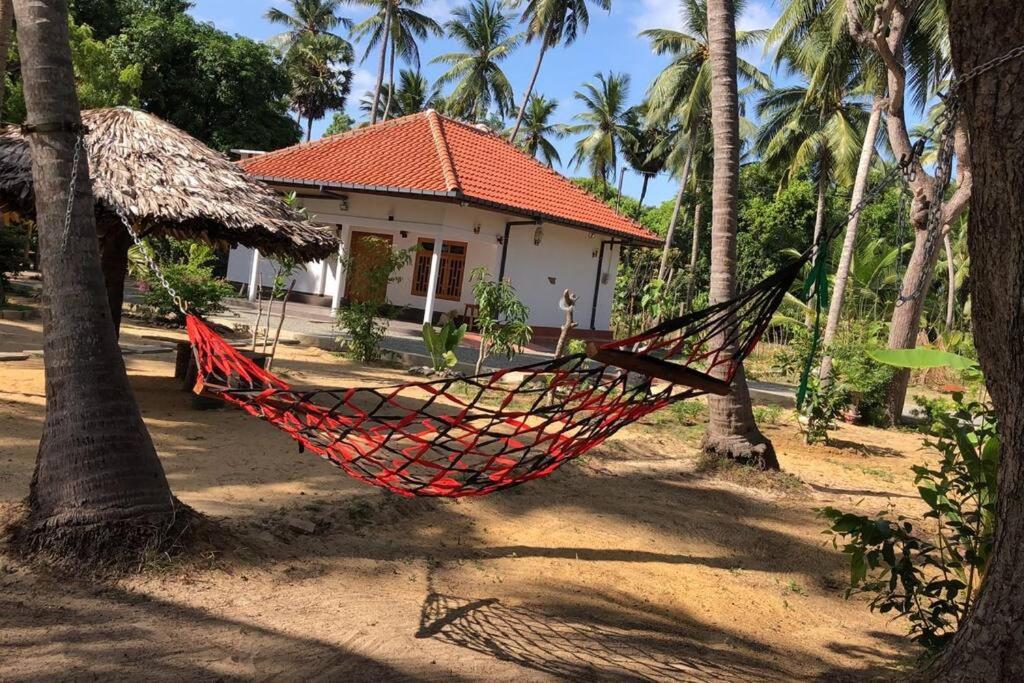 Nature Paradise