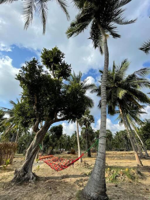 Nature Paradise