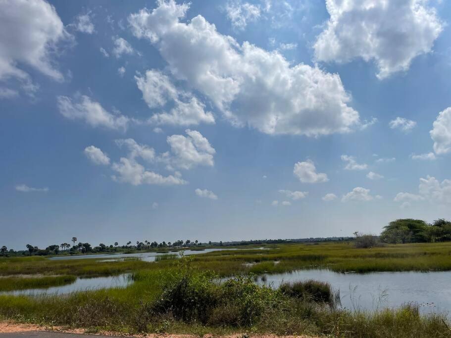 Nature Paradise