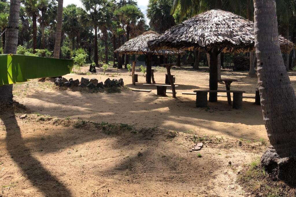 Nature Paradise