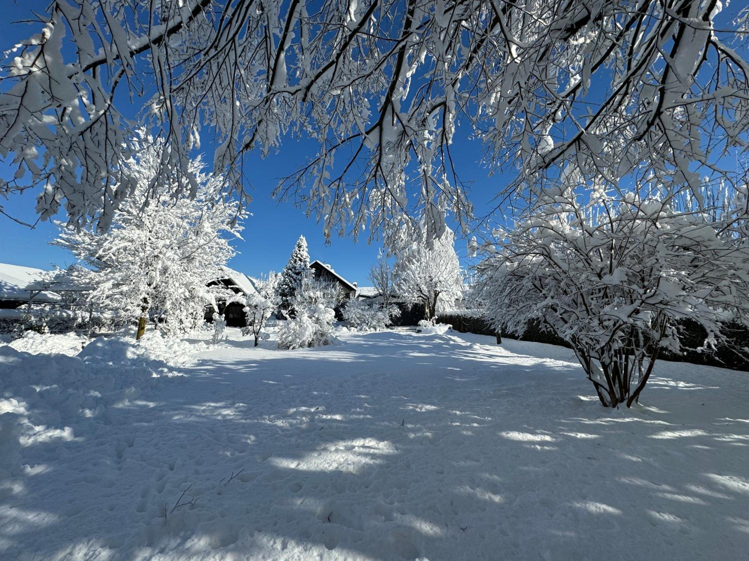 Photo 42