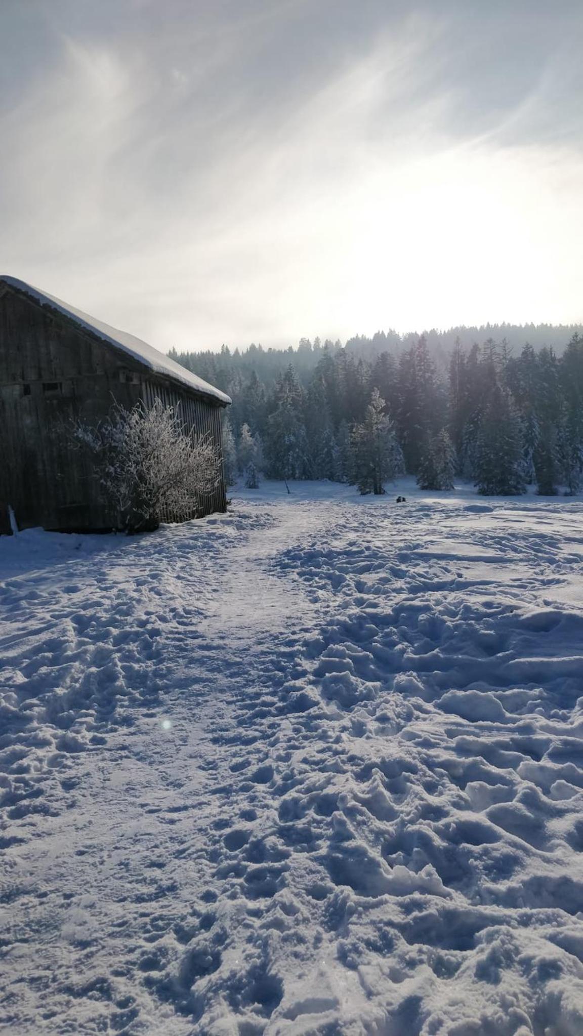 Ferienhaus Buchen