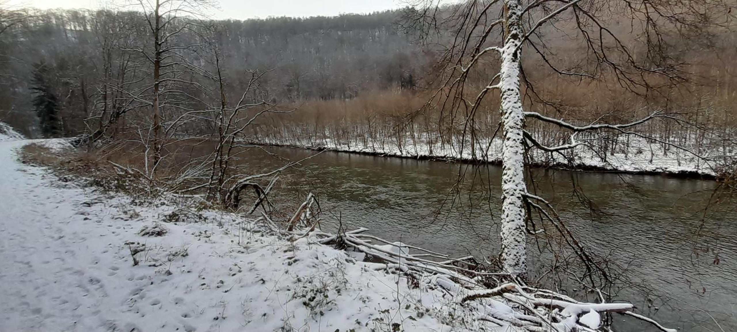 Le Sentier des Lavandes
