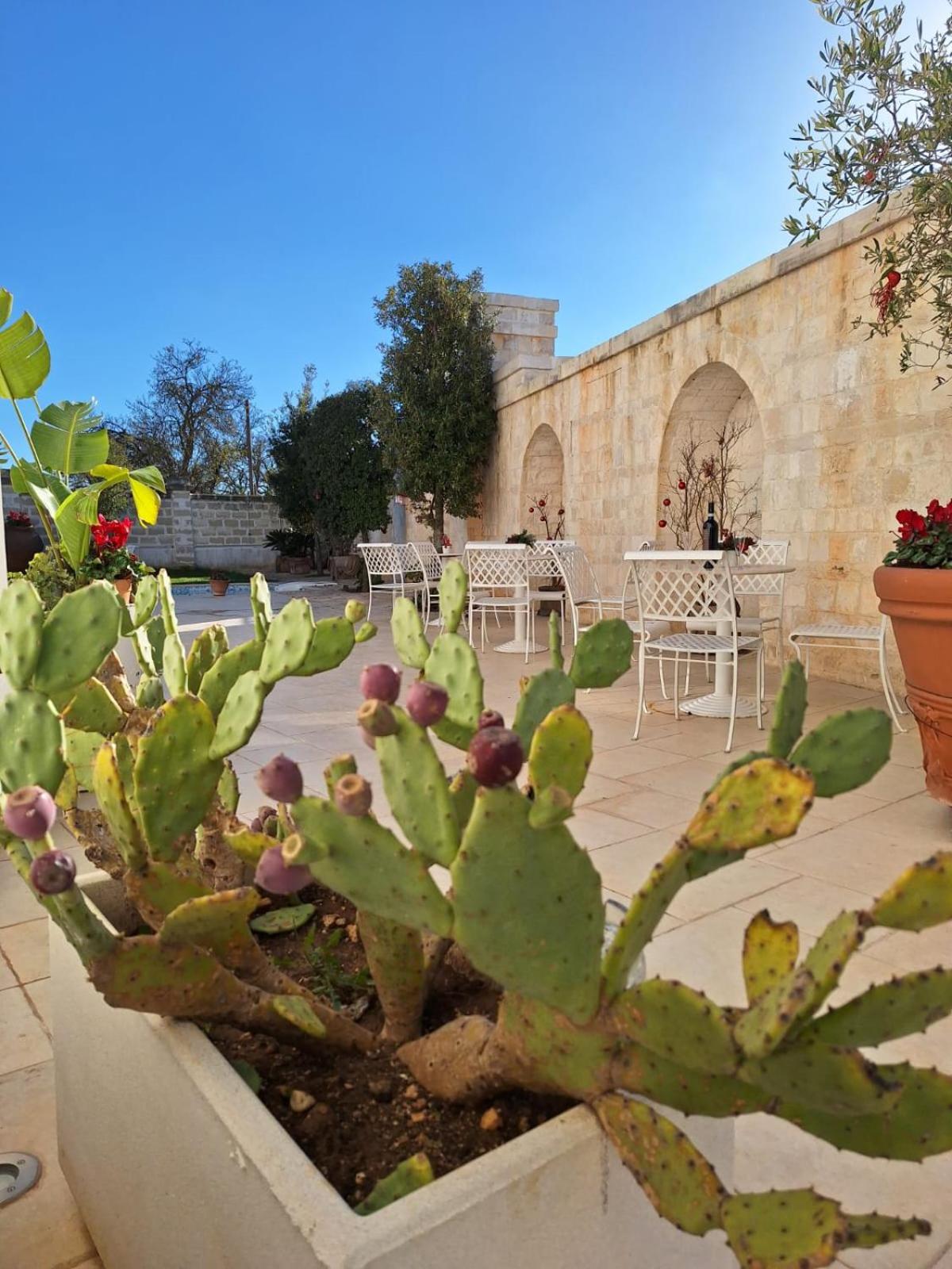 B&B Le Torri photo 5