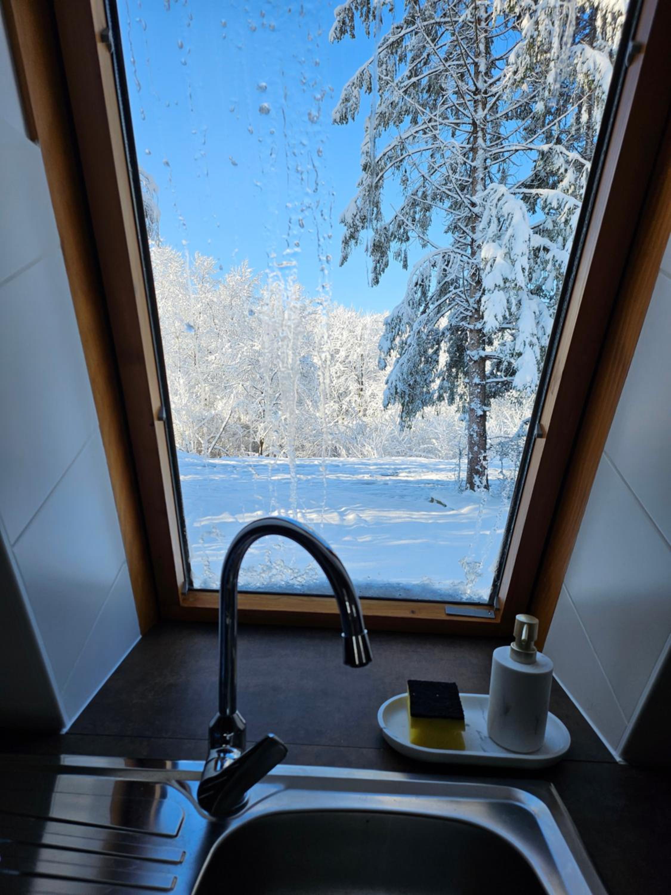 Kuća za odmor Šumska Vila view 4