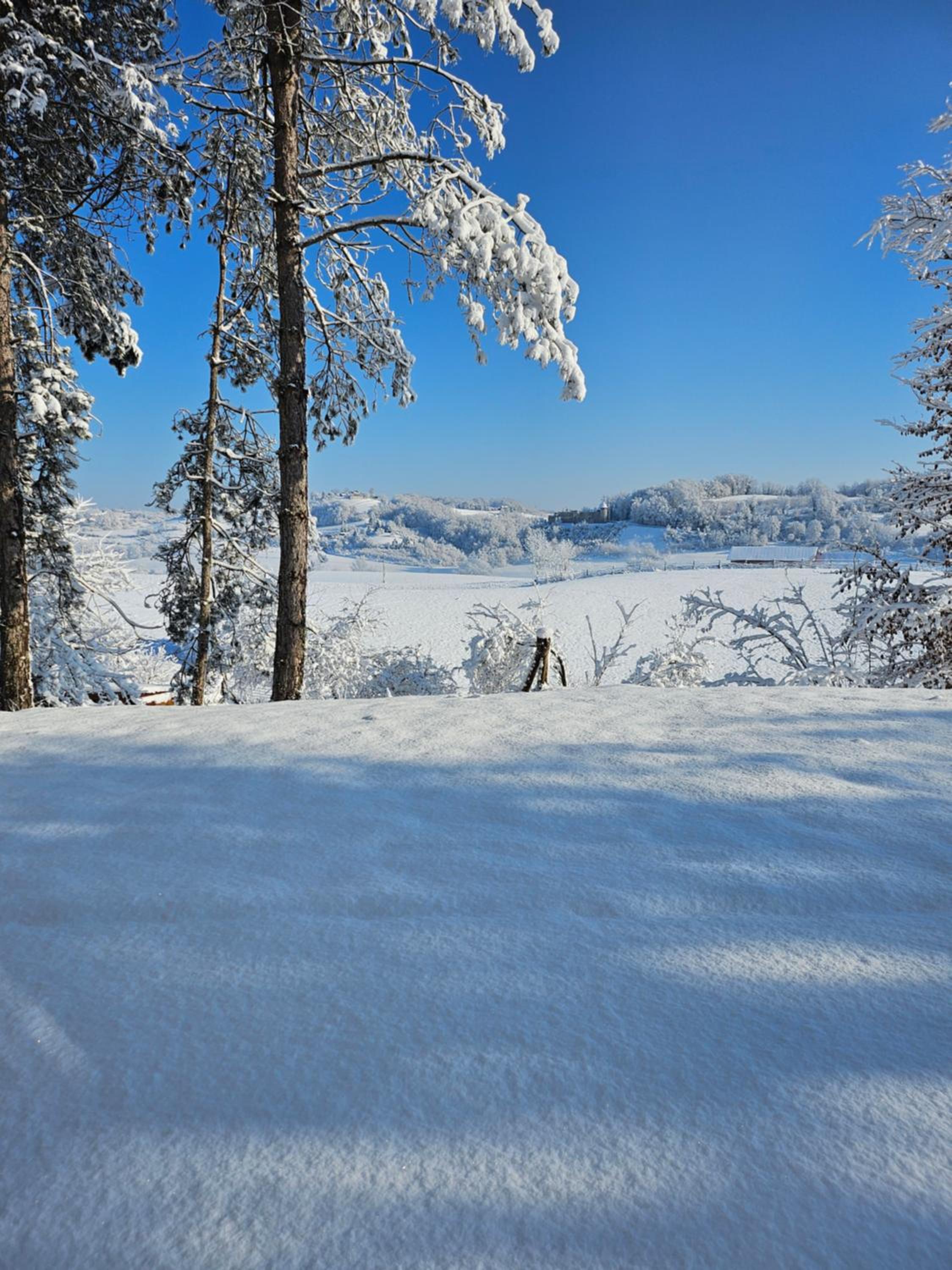 Kuća za odmor Šumska Vila view 2