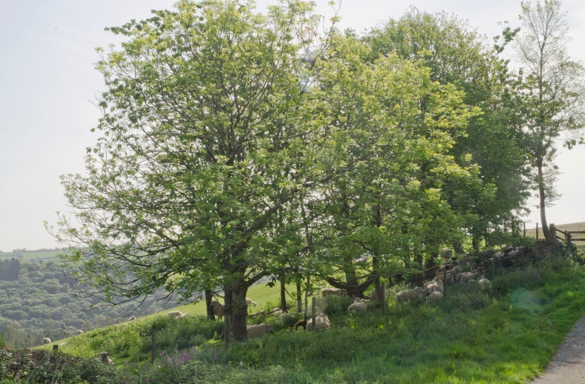 Photo 25