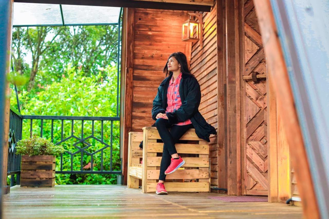 Hunters Wood Cabins
