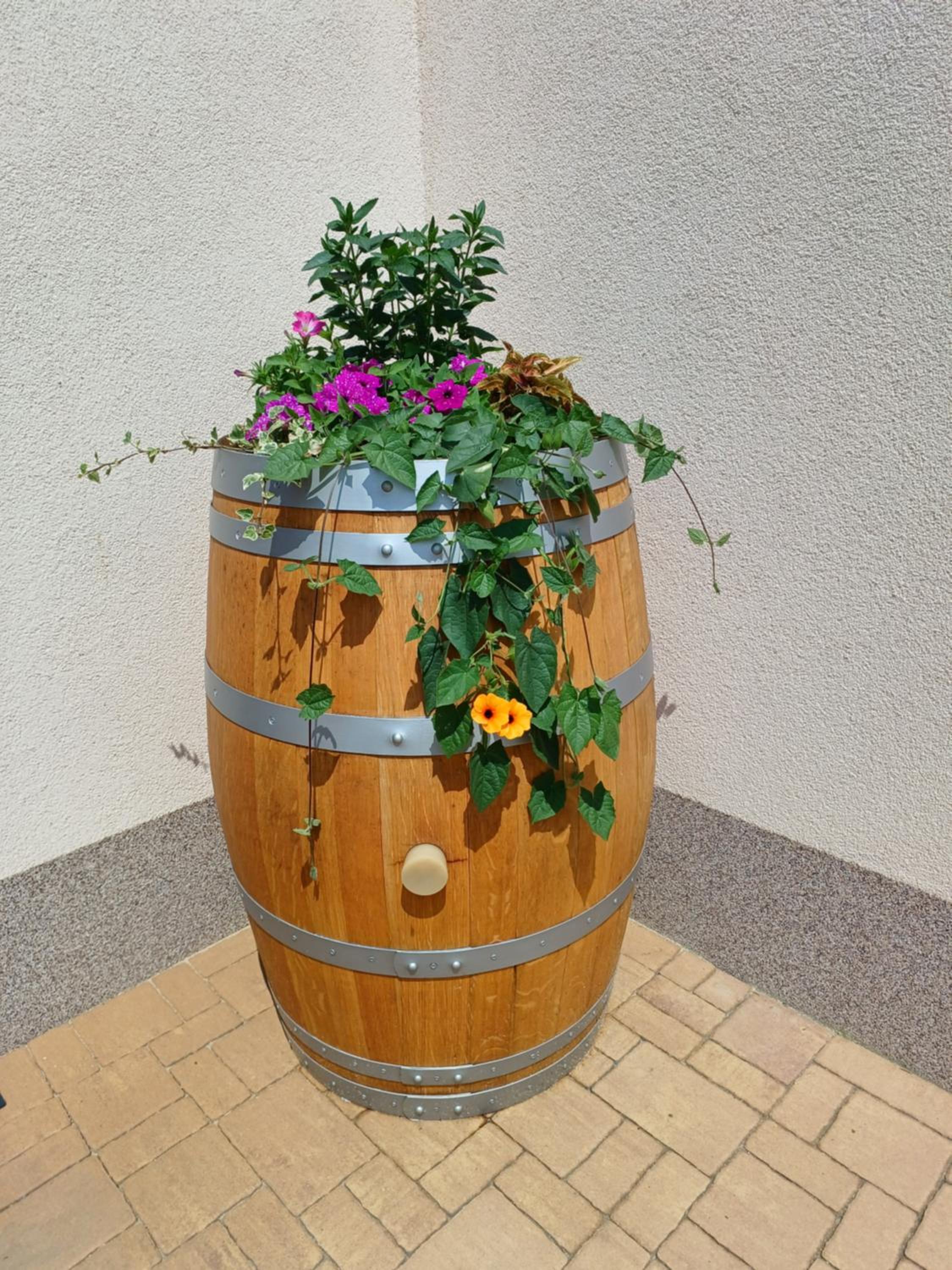 Apartmány Chlupovi