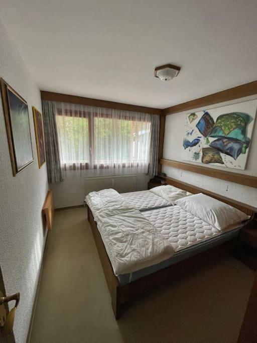 Apartment Eva - Hinterthal