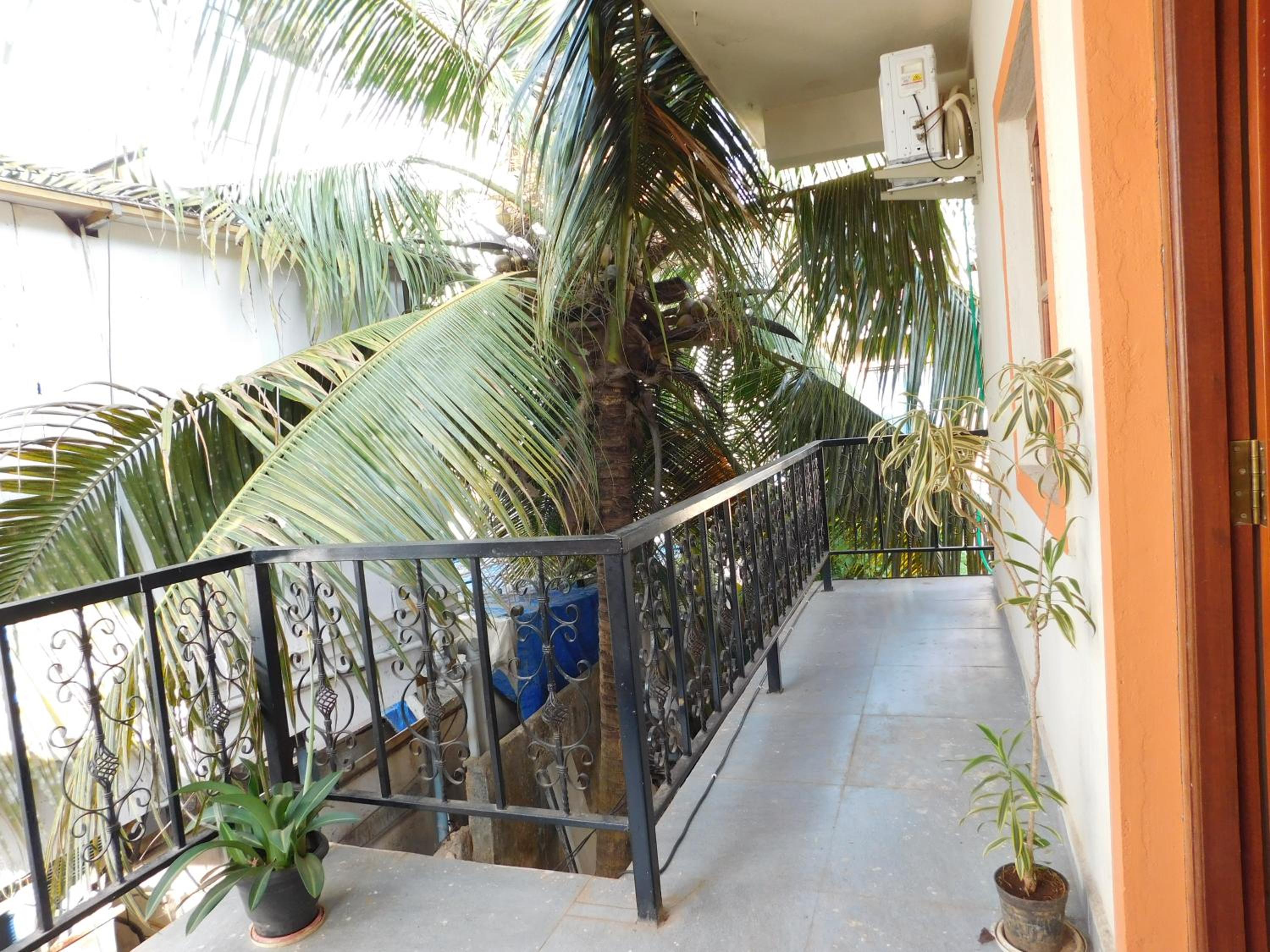 Ariel Guesthouse