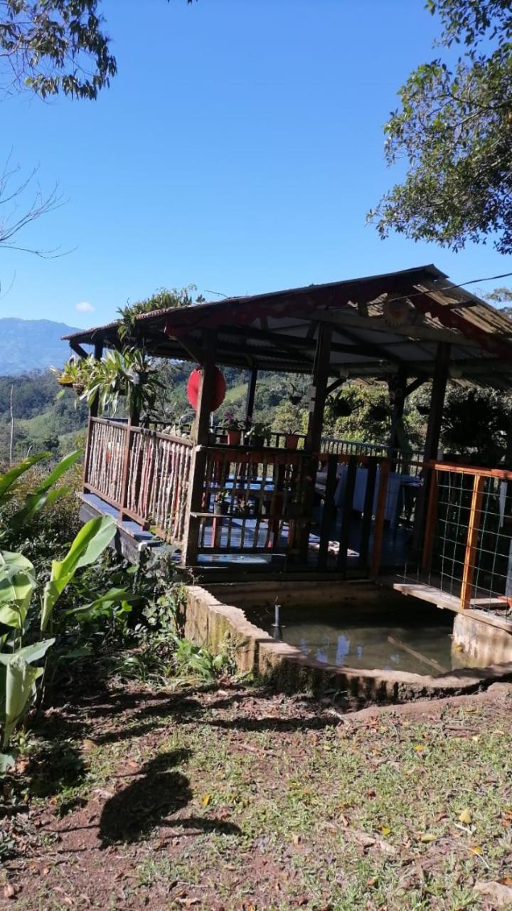 Casa Luka