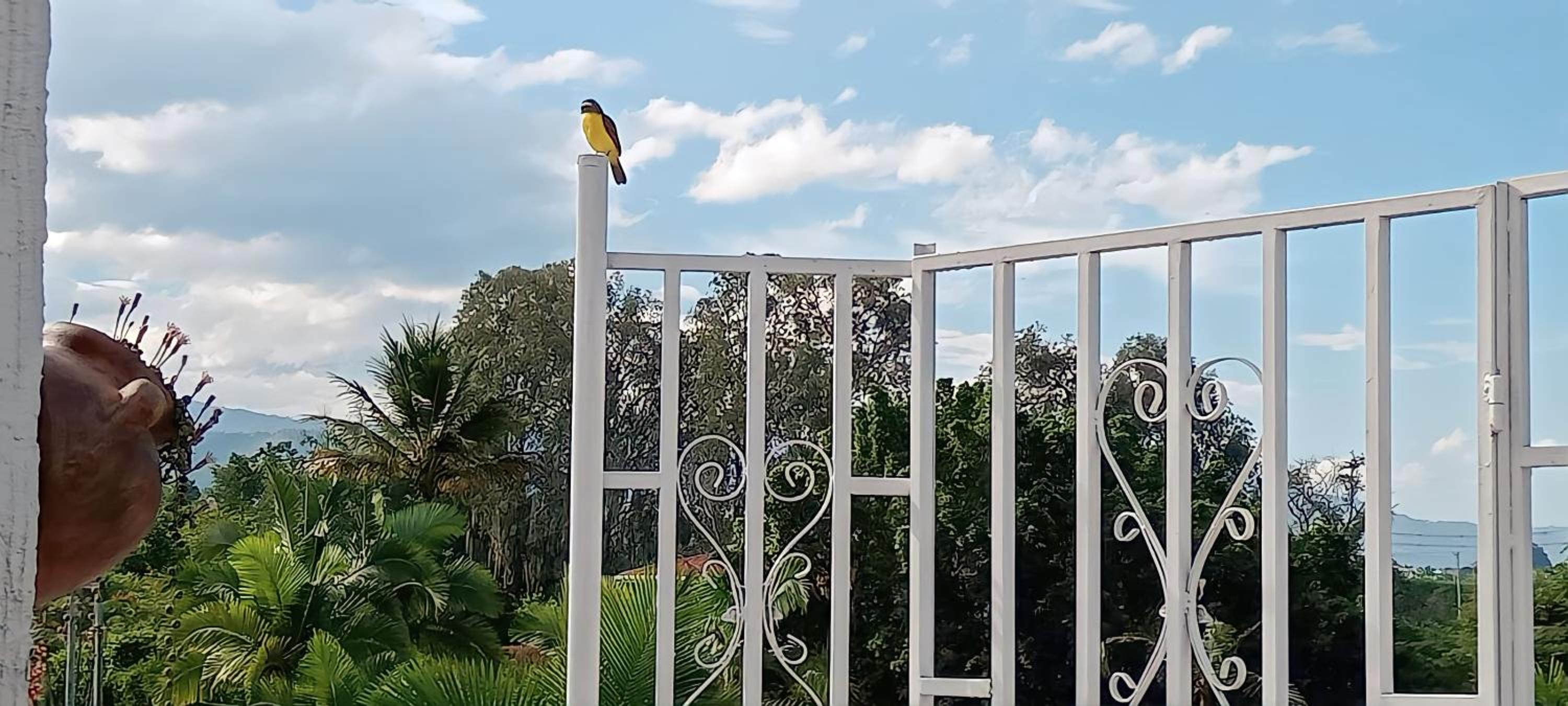 Apartamento Campestre