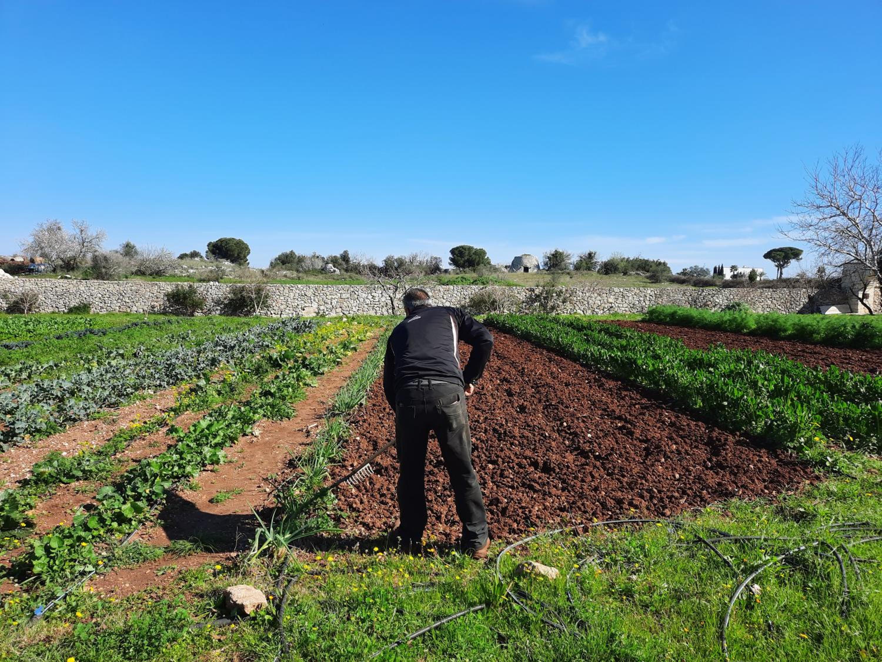 Masseria San Cosimo Agriresort