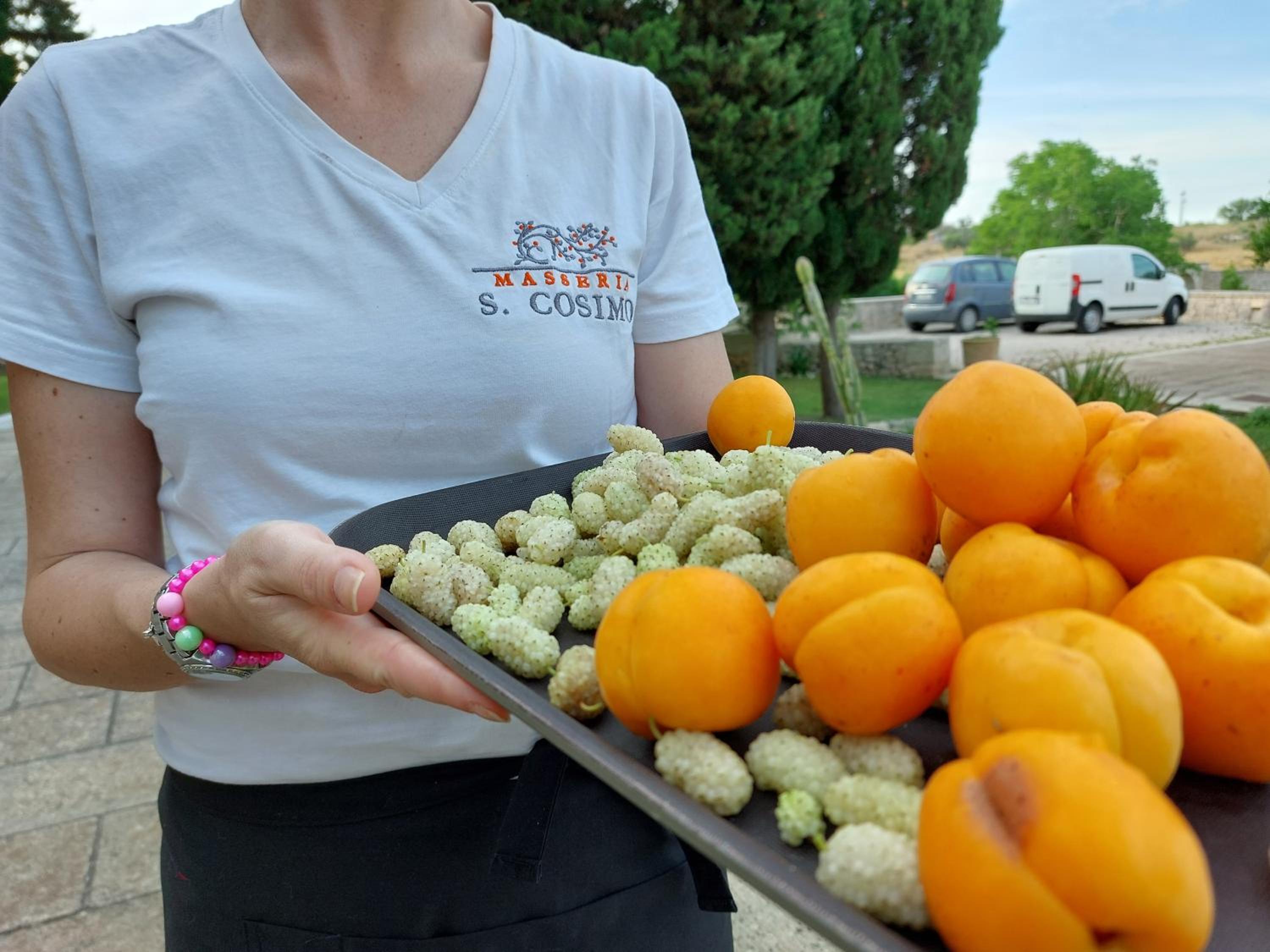 Masseria San Cosimo Agriresort