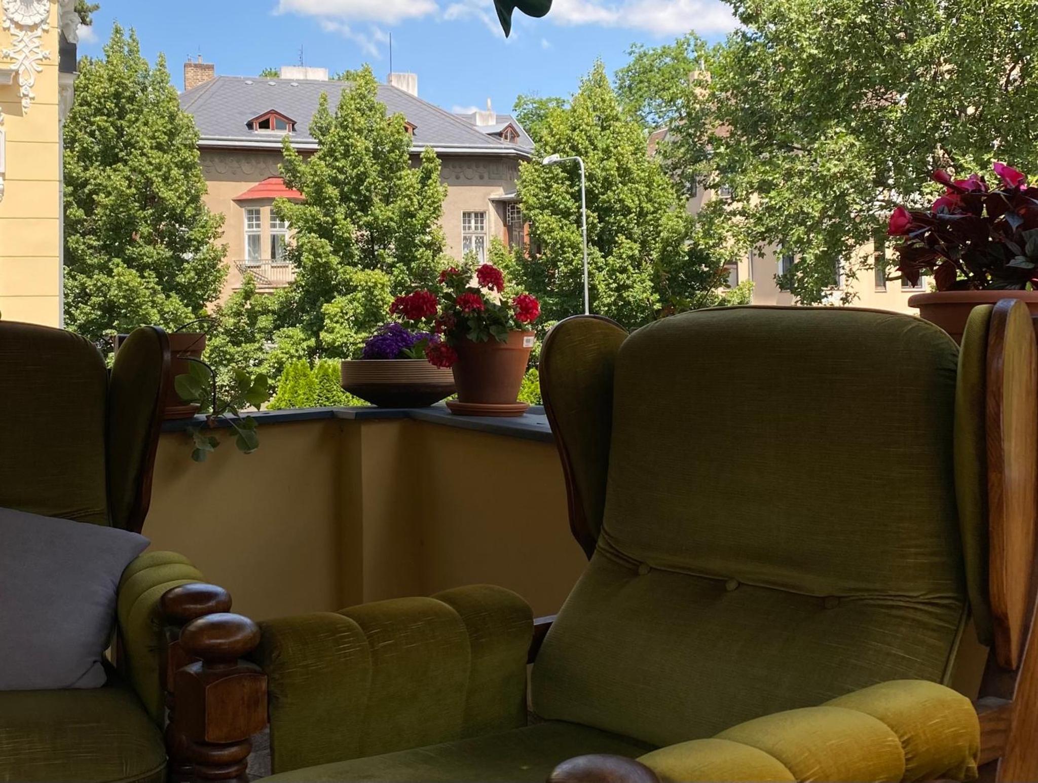 Salve Teplice view 5