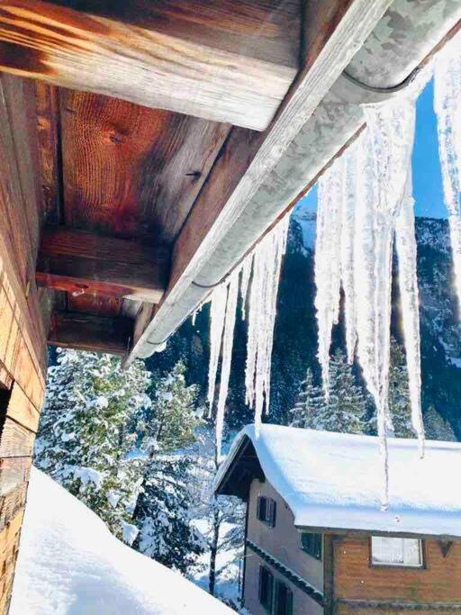 Cozy Apartment in Vintage House in Kandersteg