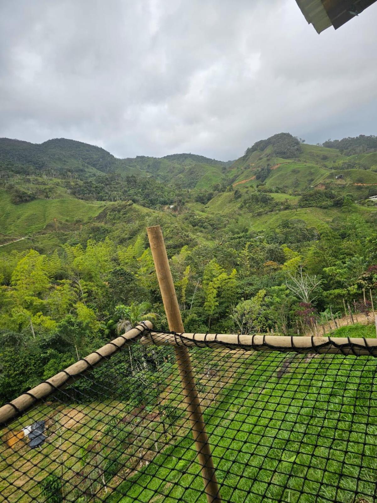 Cabaña Los Colibríes