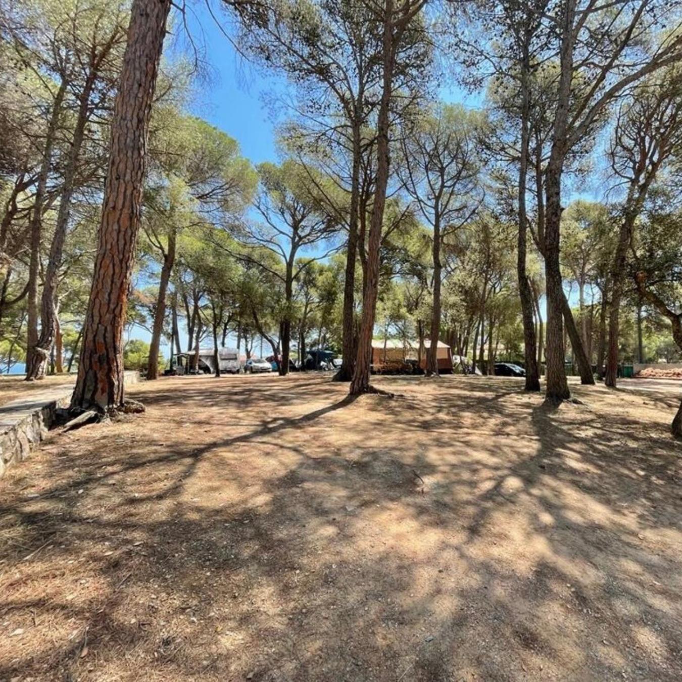 Interpals Eco Resort