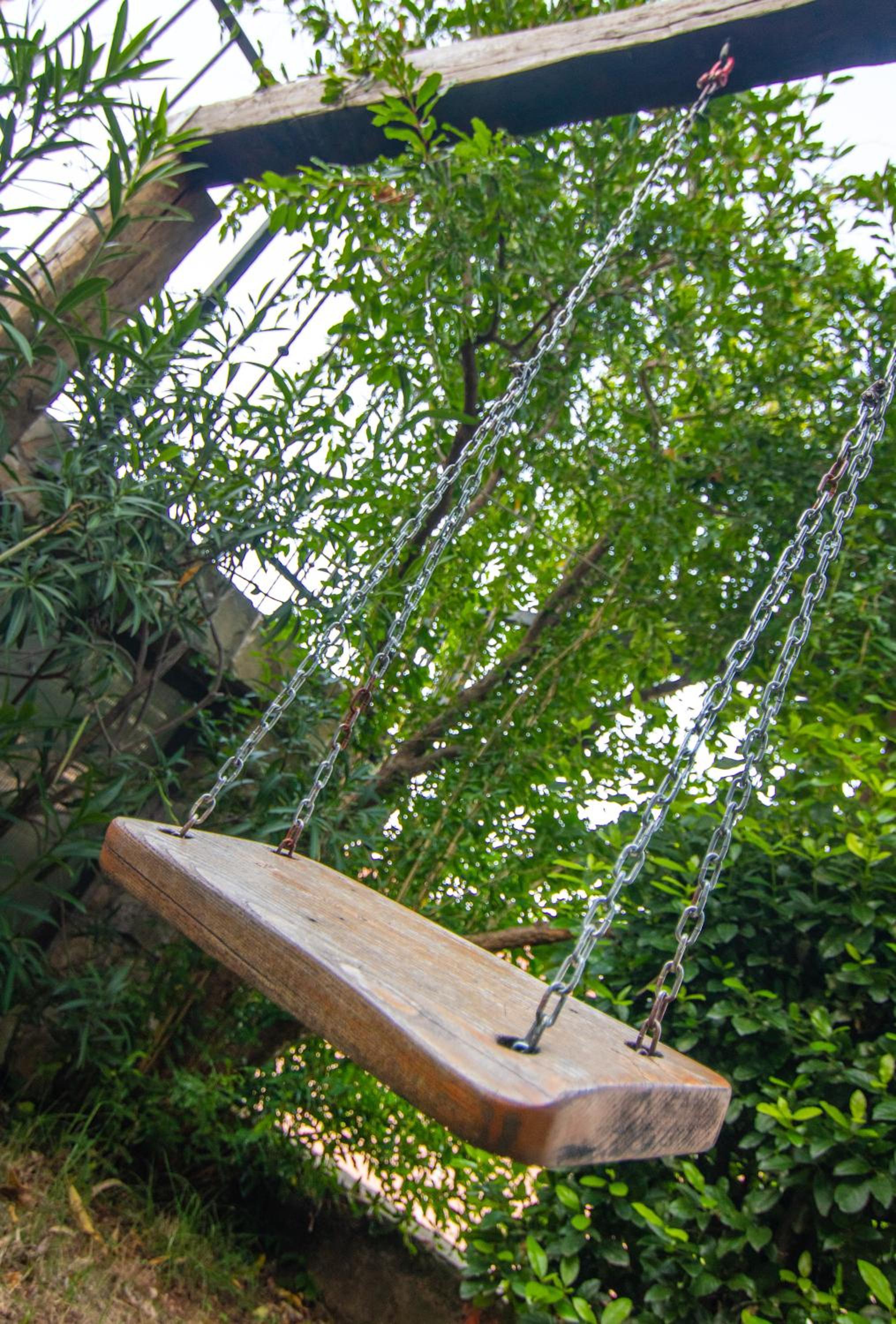 Photo 46