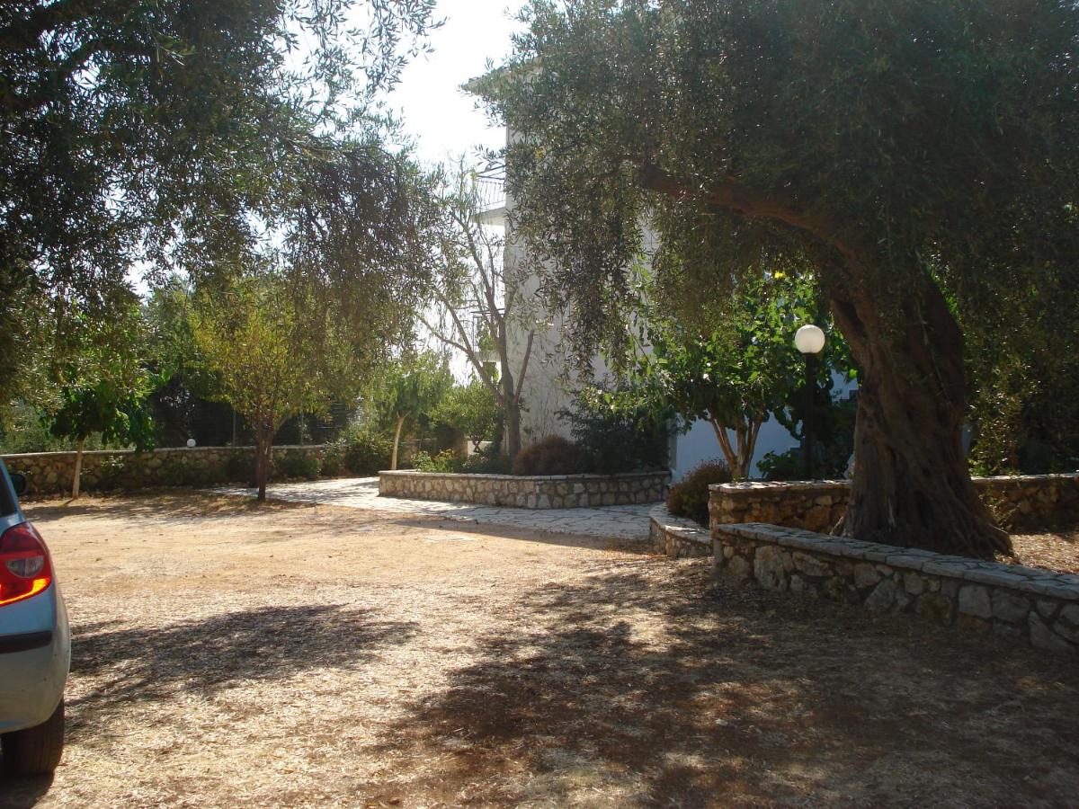 Photo 24