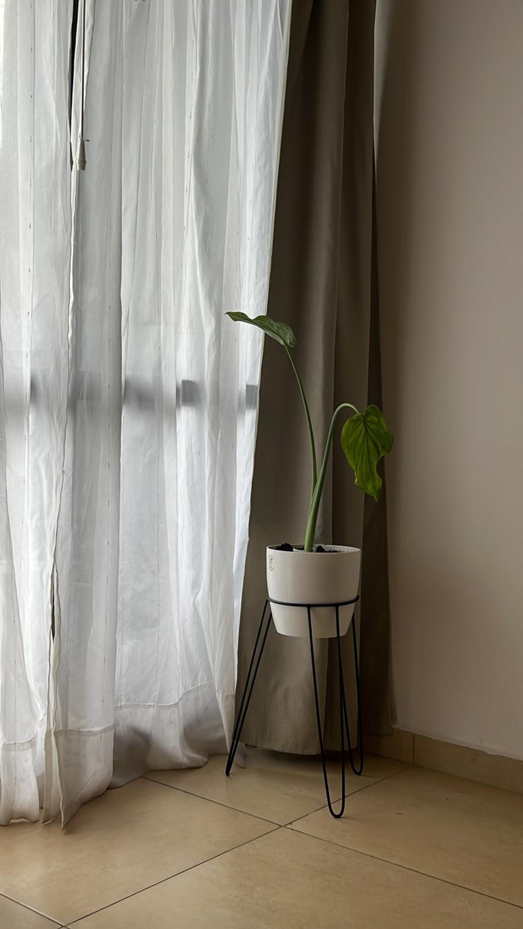 Monoambiente Luminoso