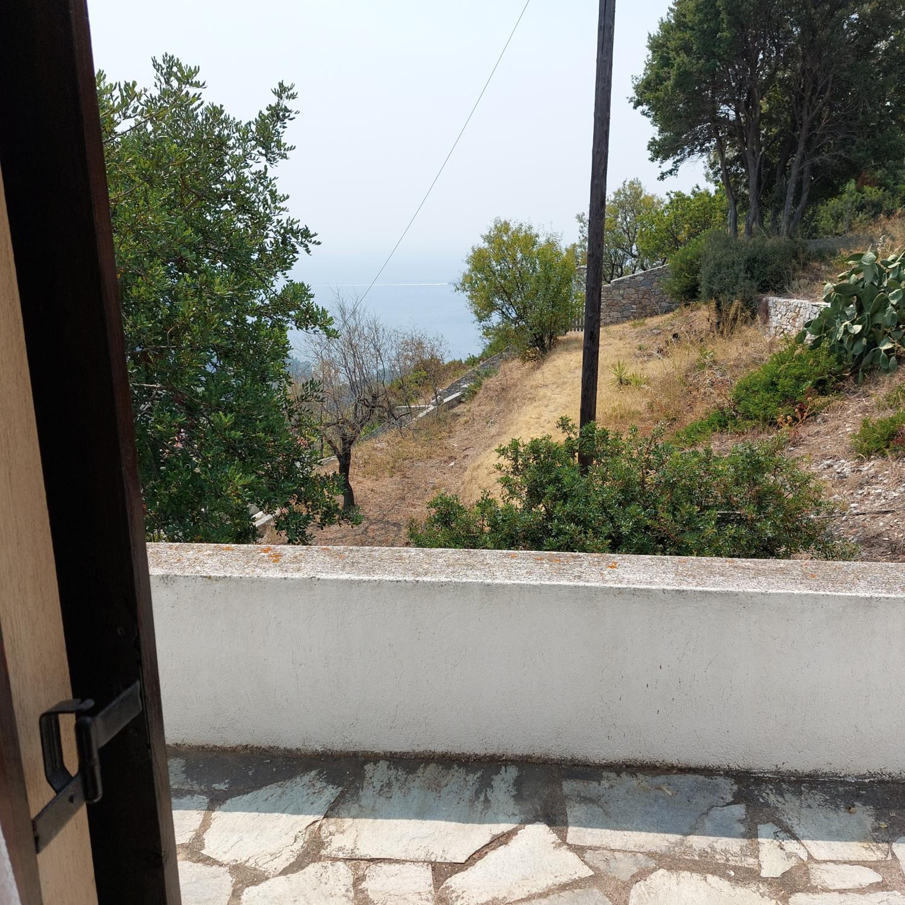 Photo 29
