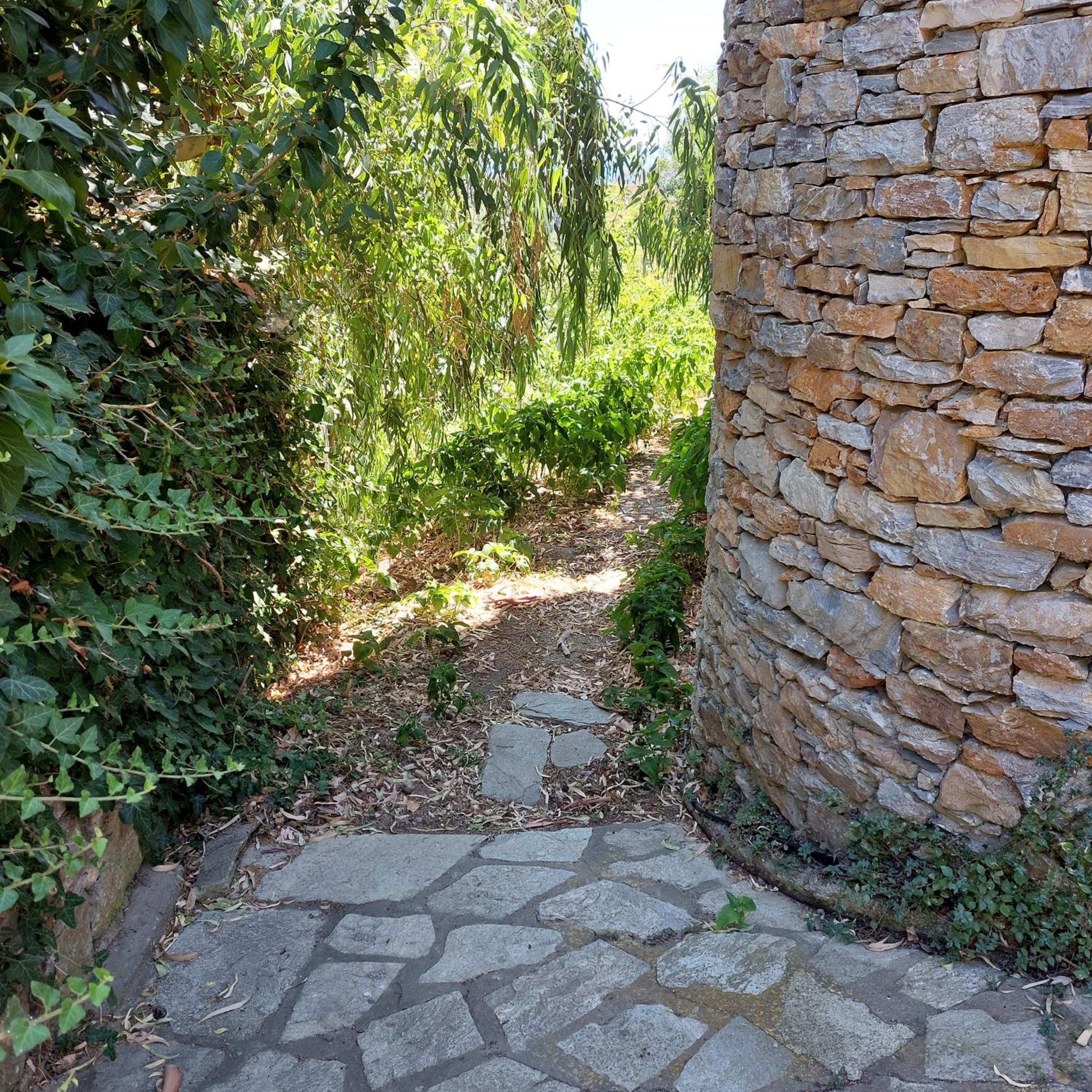 Sunrise house Alonnisos view 4