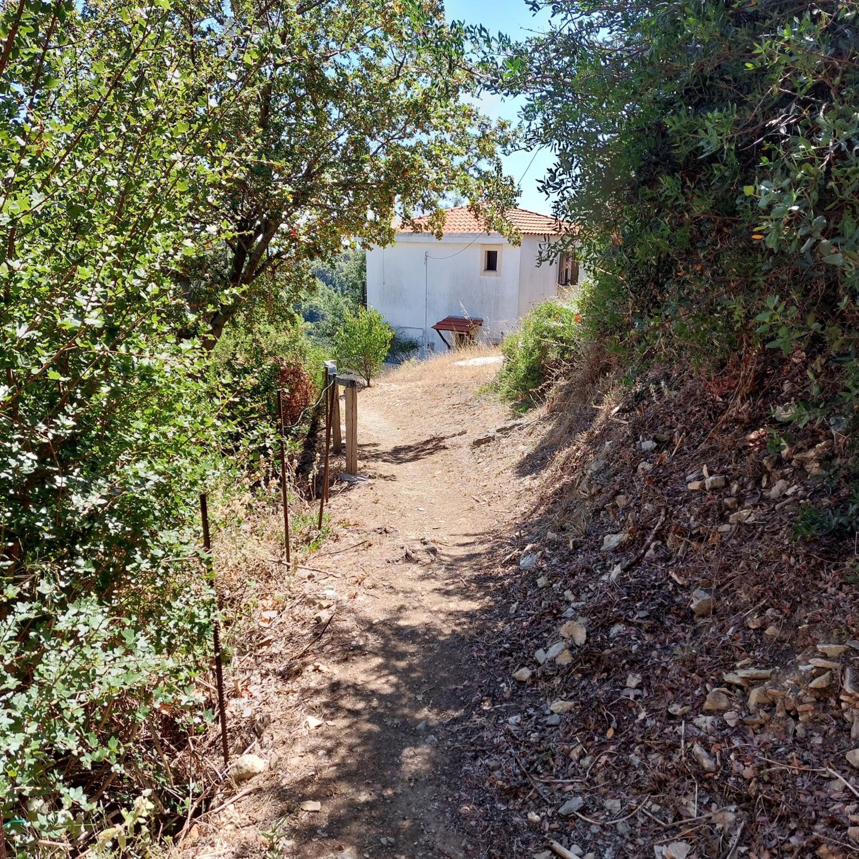 Sunrise house Alonnisos view 2