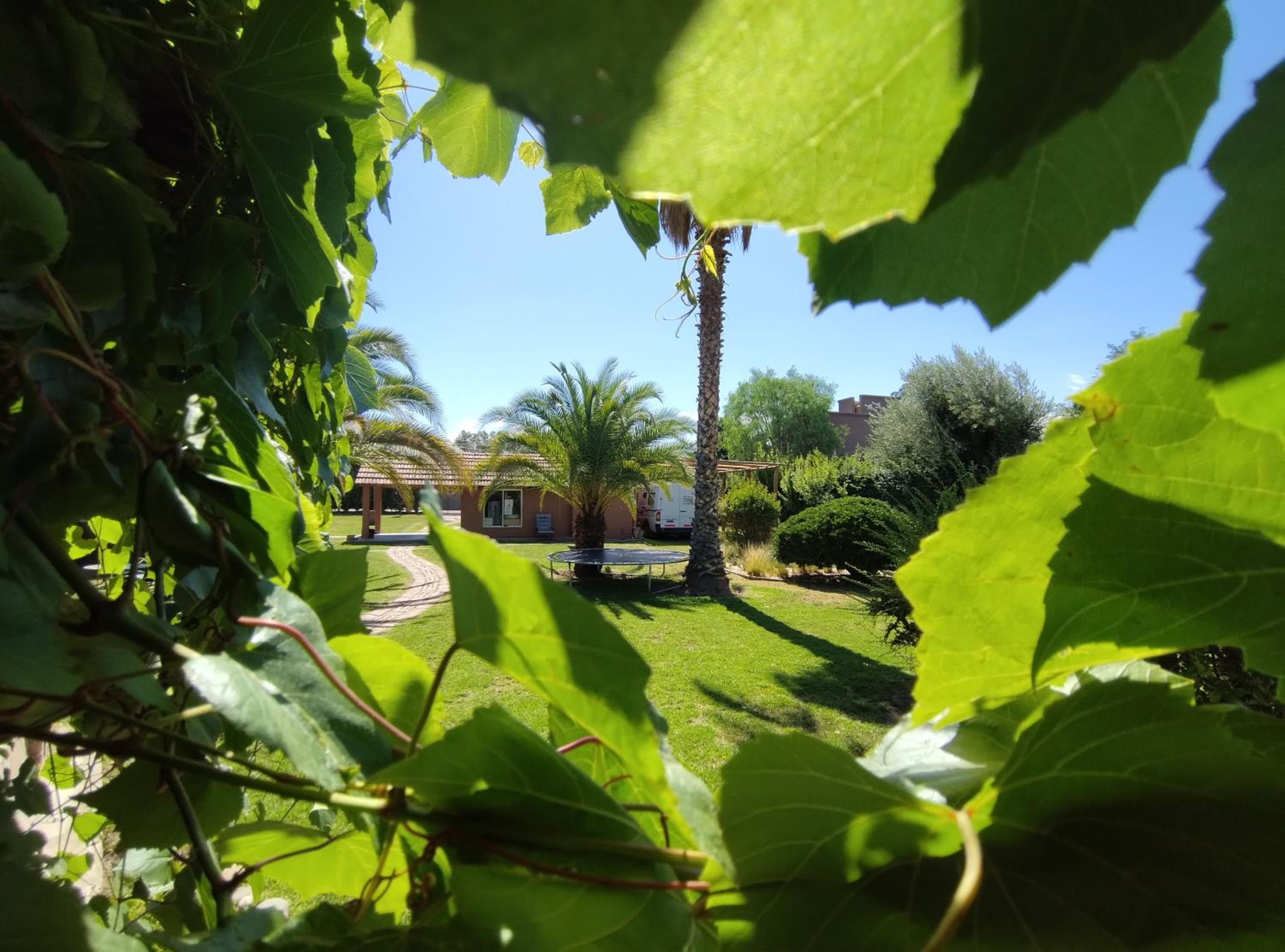 La Vieja Finca