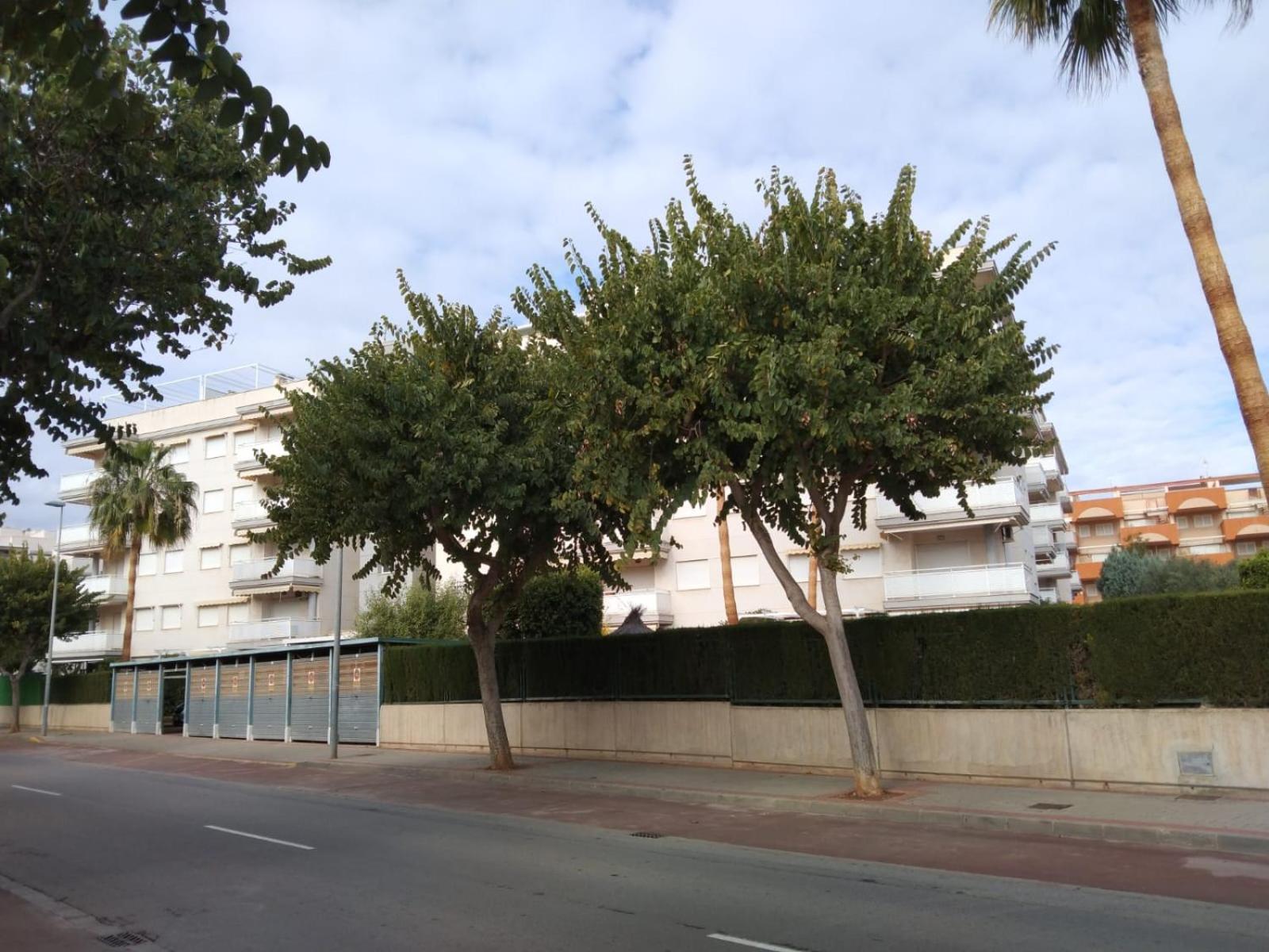 APARTAMENTO PLANTA BAJA CANET DE BERENGUER