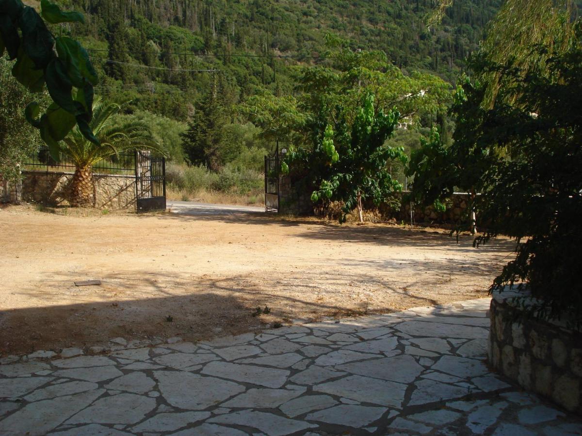 Photo 23