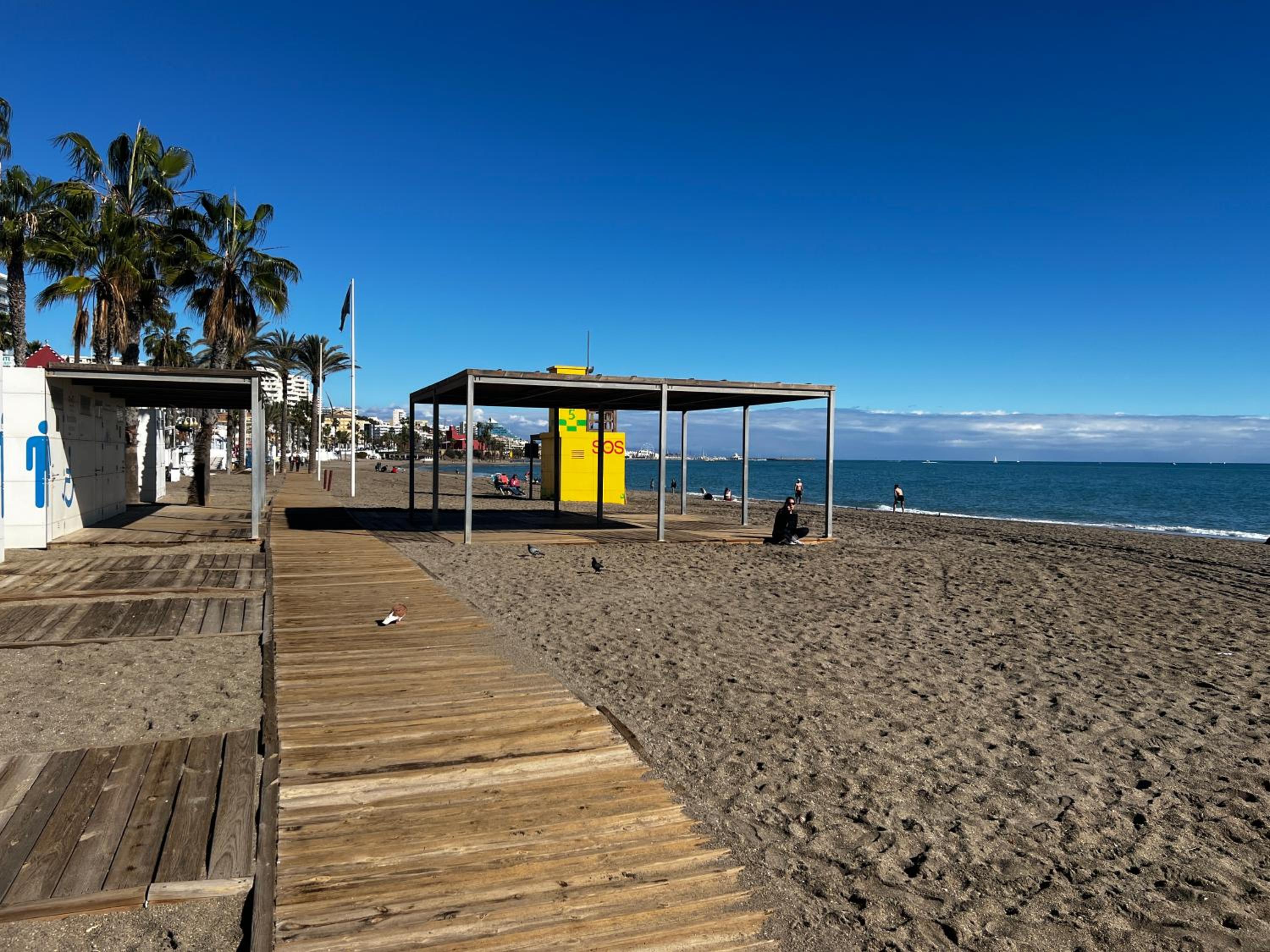 MSM Los Patos Tropicana