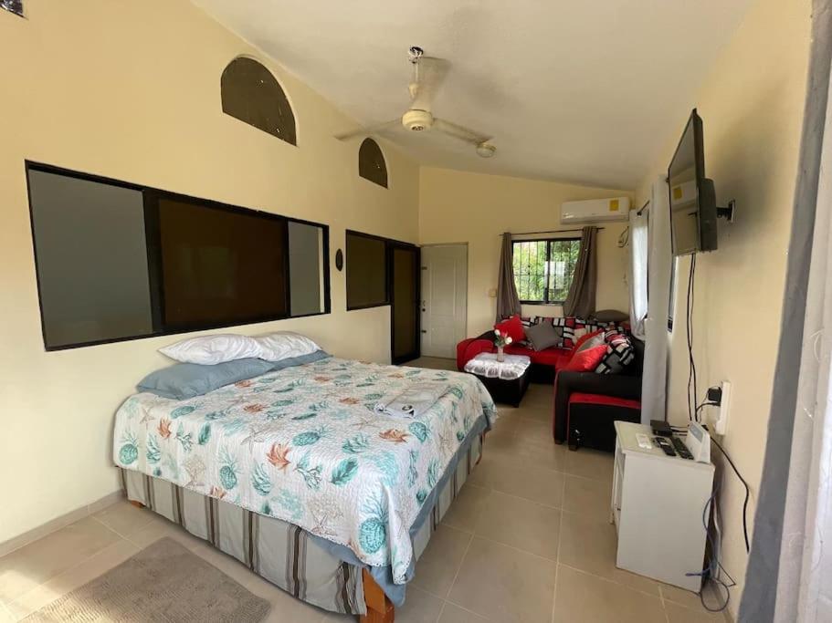 Country home in the hills of Samana view 2
