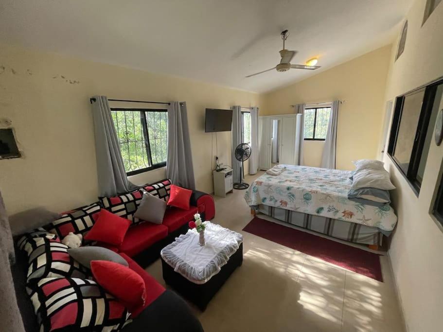 Country home in the hills of Samana view 5