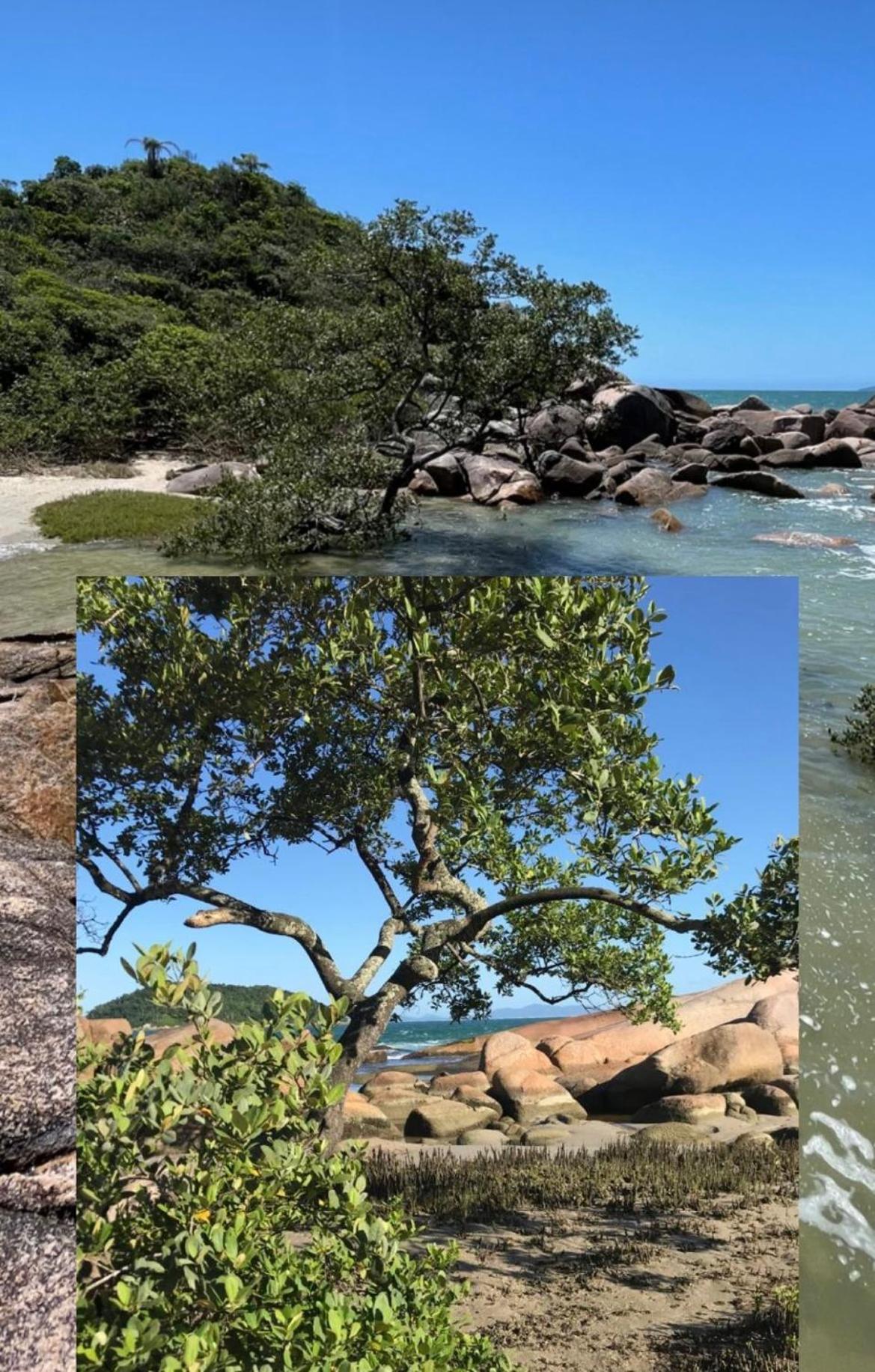 Casa de Praia Brasileirinha