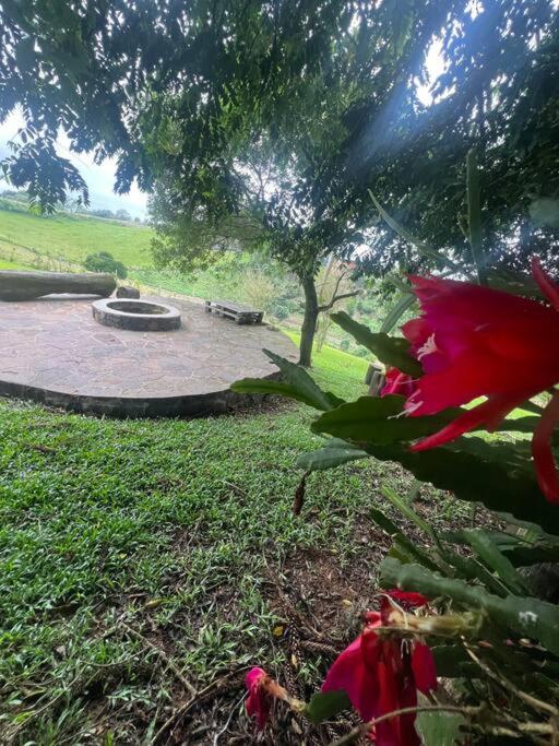 Cabana das araucárias