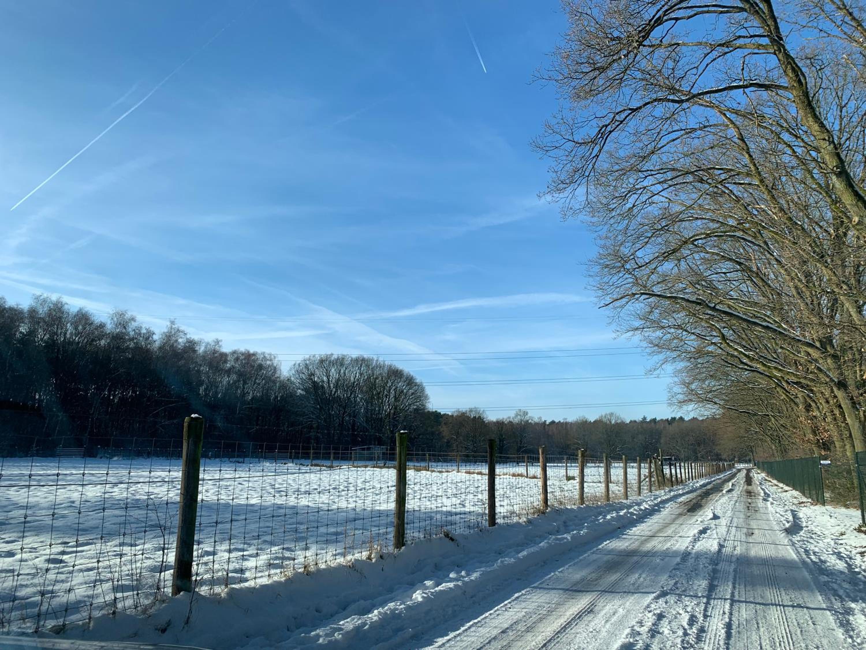 Chalet Liquidambar