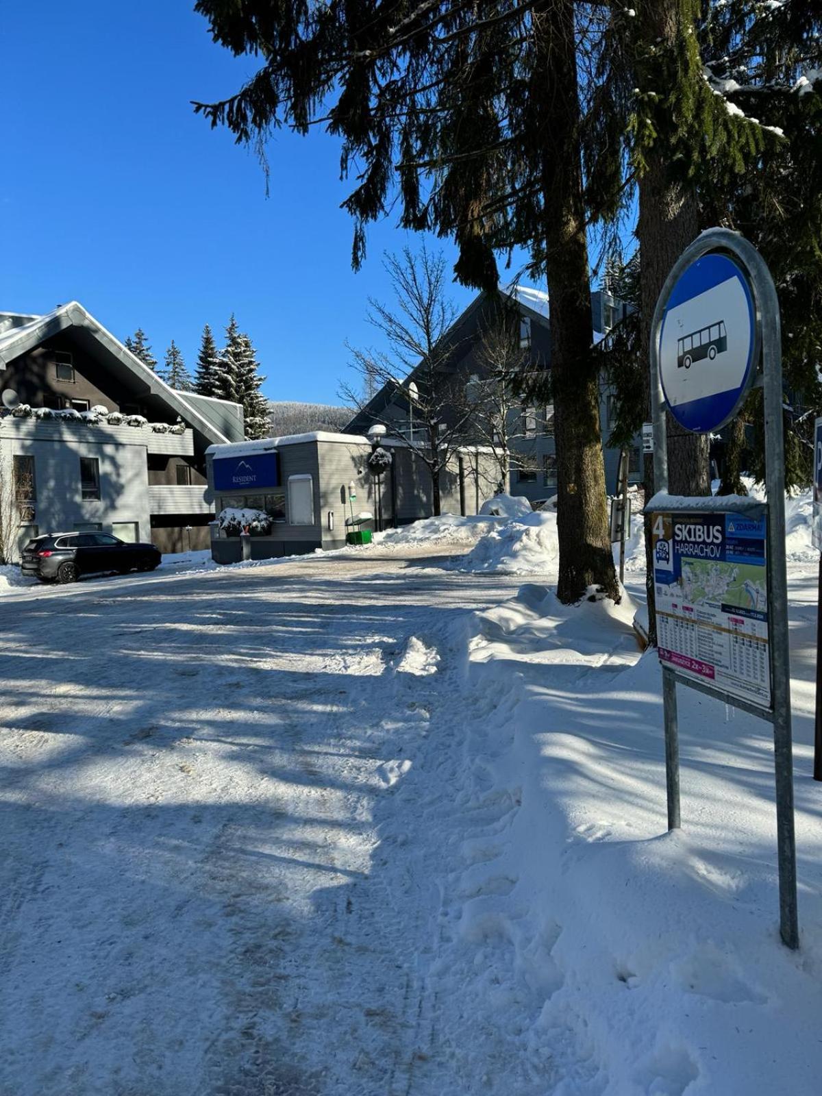 Spirit Harrachov Superior Wellness Apartment - FREE Wellness, Wifi, Parking