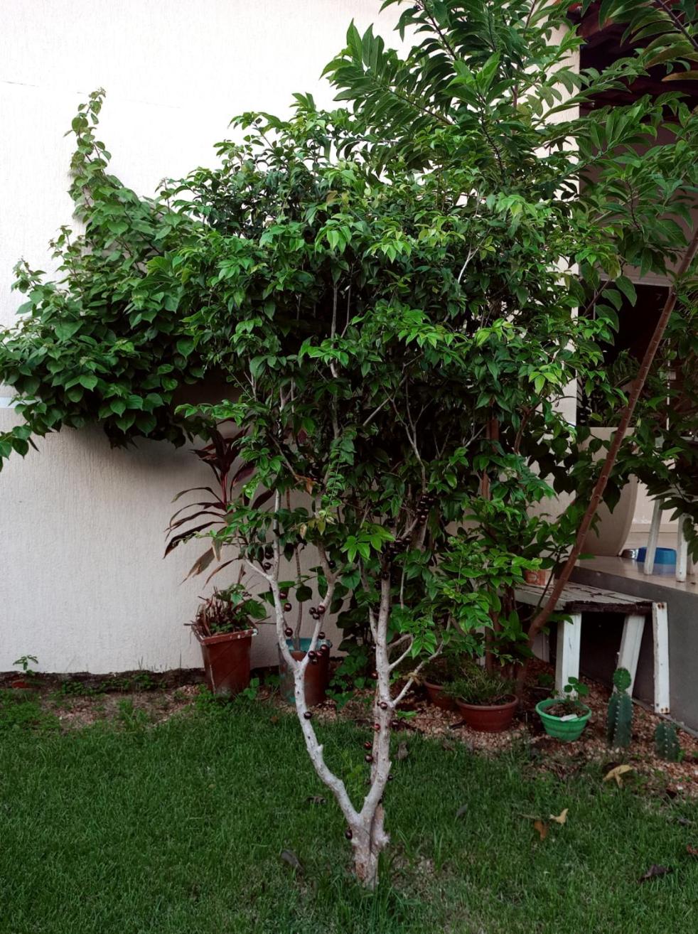 Casa de Marabá no Bairro Cidade Jardim