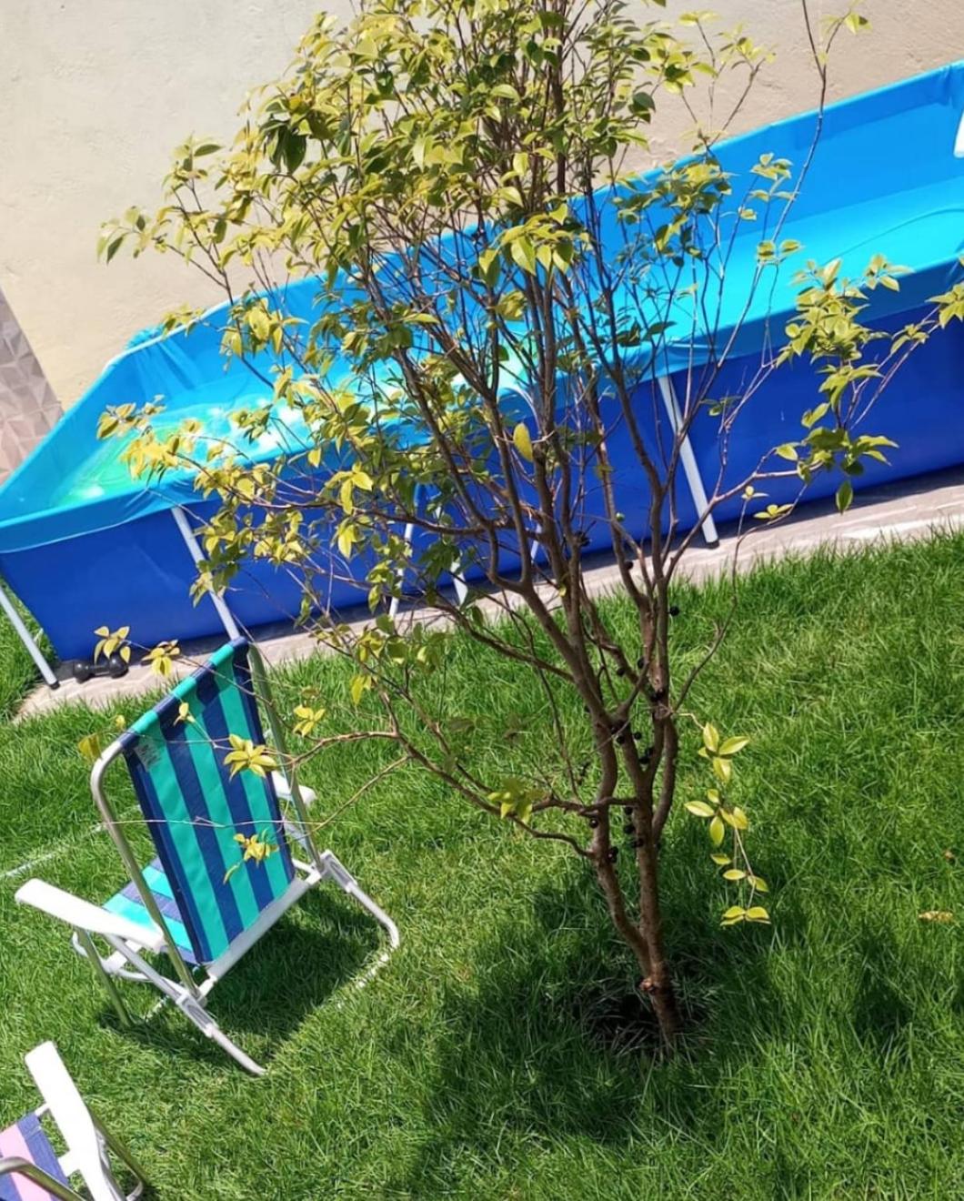 Casa de Marabá no Bairro Cidade Jardim