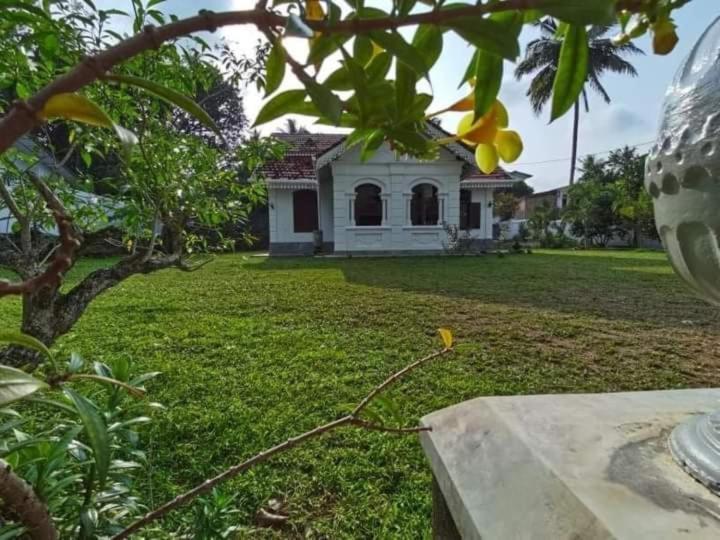 Vimansa International Meditation and Retreat Centre