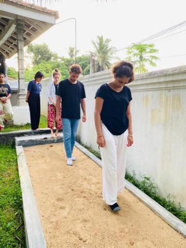Vimansa International Meditation and Retreat Centre