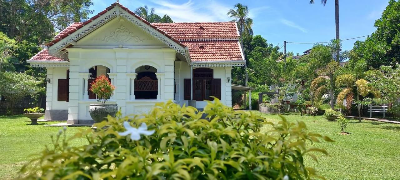 Vimansa International Meditation and Retreat Centre
