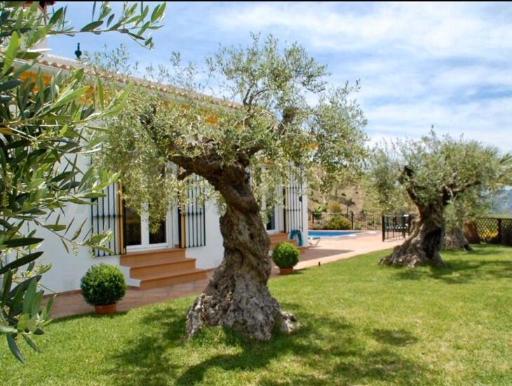 Casa Nobleza