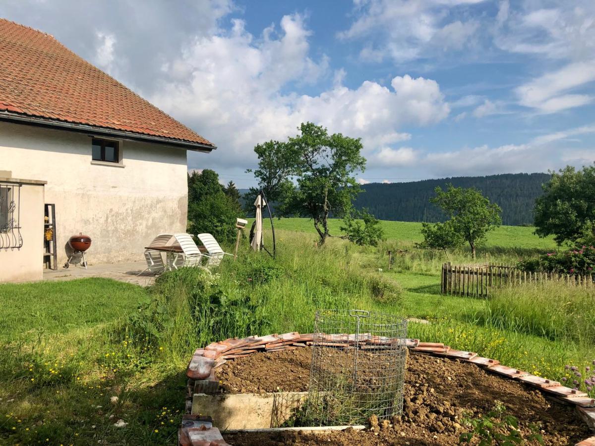 LaTerestone
