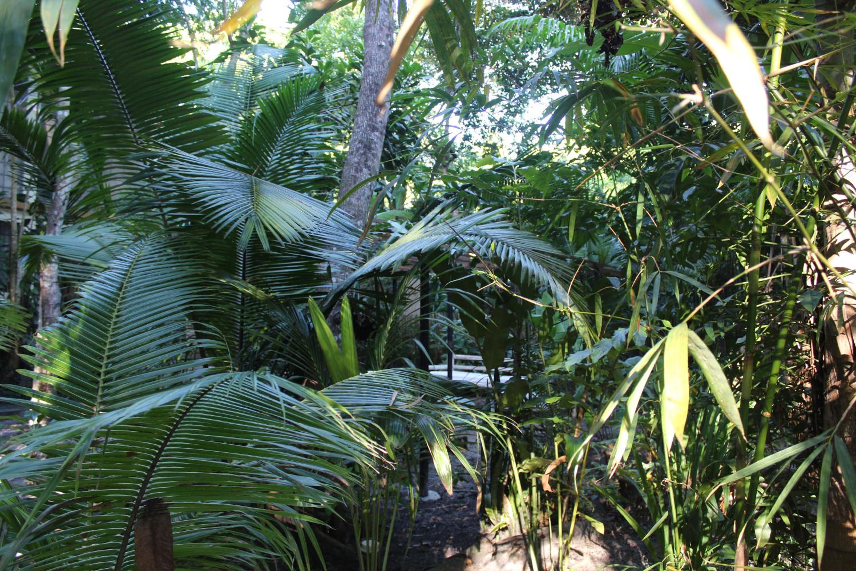 REFUGIO DO SAGRADO MORERE Tropical Lodge - A Casa do Vigía