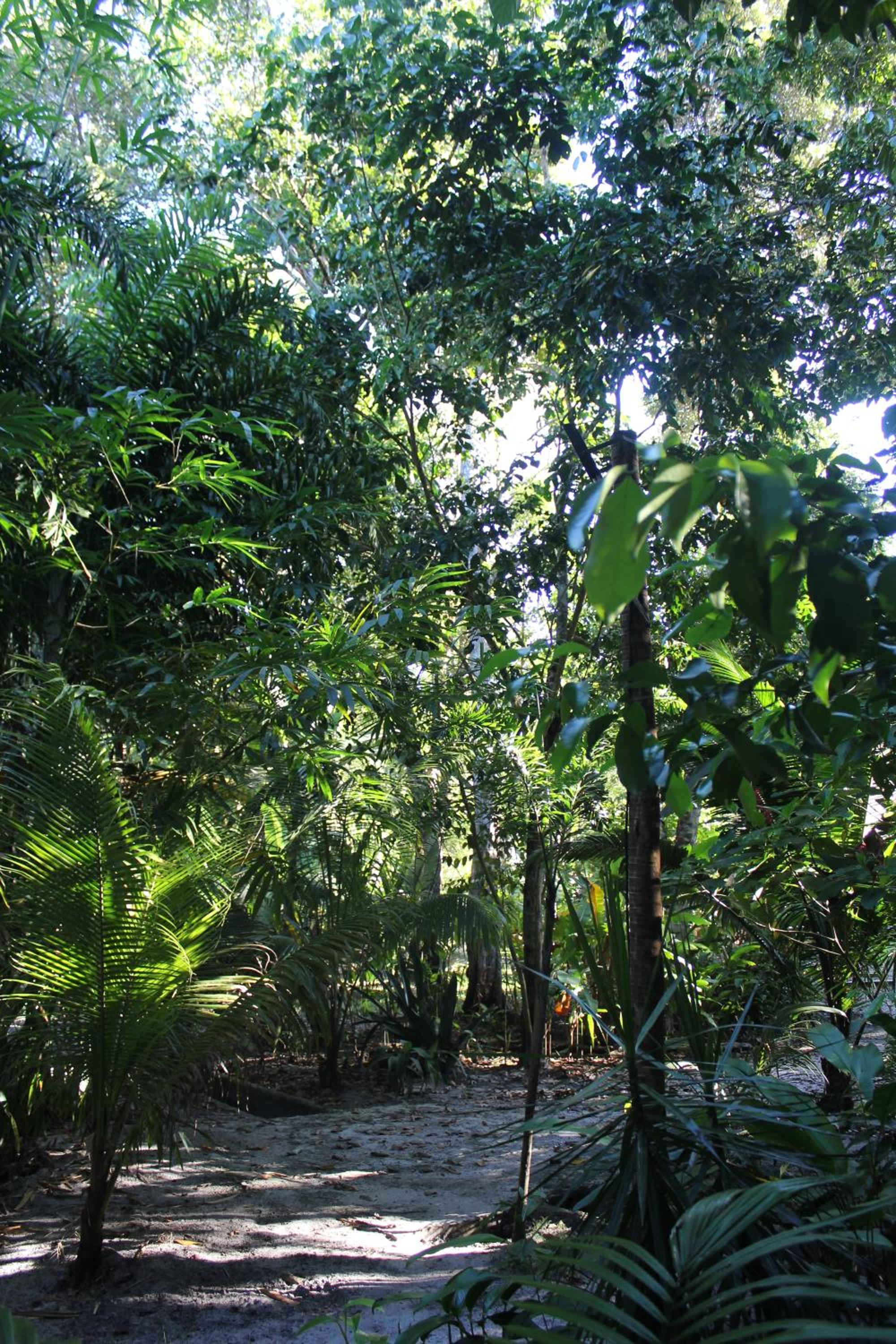 REFUGIO DO SAGRADO MORERE Tropical Lodge - A Casa do Vigía