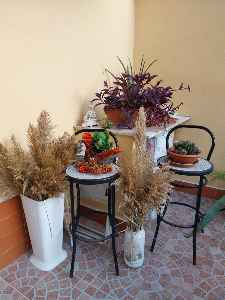 Il giardino di Marimar