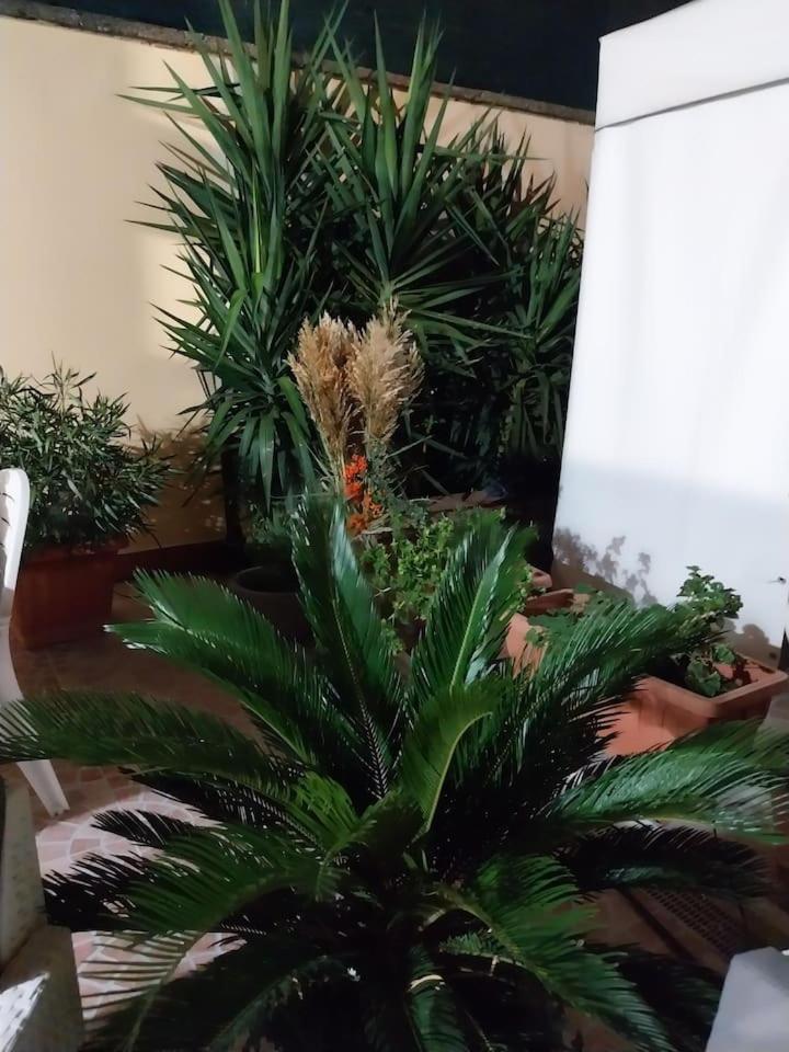 Il giardino di Marimar